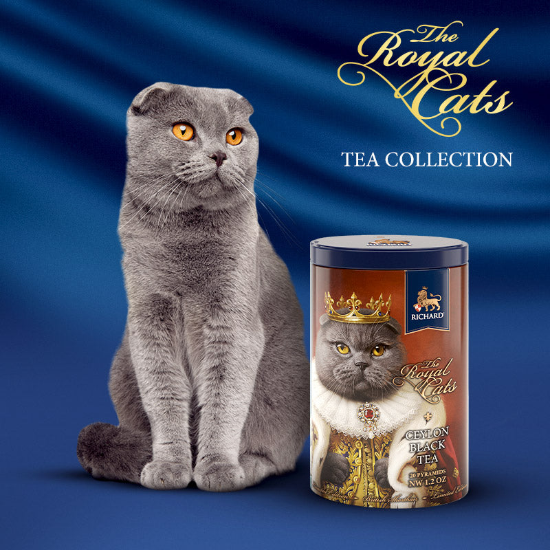 RICHARD Royal Cats, British Shorthair - Crni čaj, 20 kesica