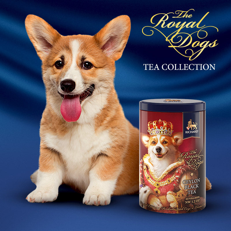 RICHARD Royal Dogs, Corgi -  Crni čaj, 20 kesica